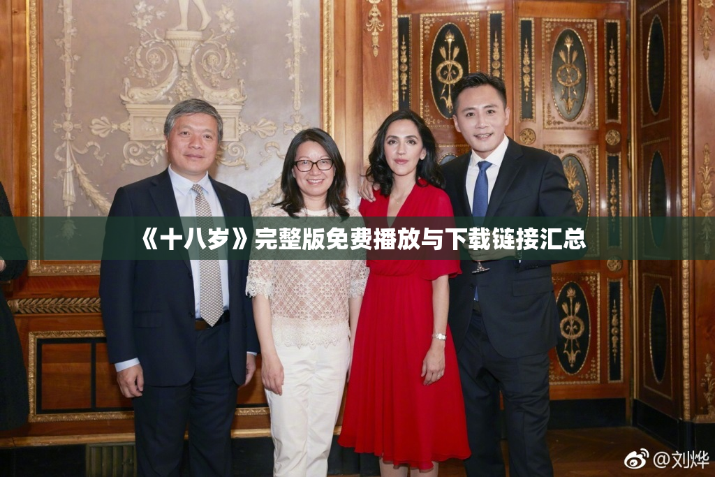 《十八岁》完整版免费播放与下载链接汇总