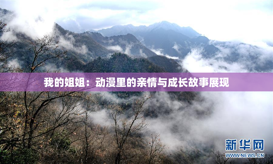 我的姐姐：动漫里的亲情与成长故事展现