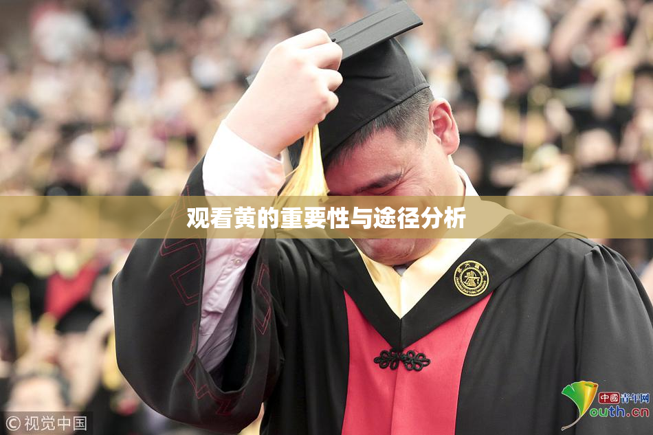 观看黄的重要性与途径分析