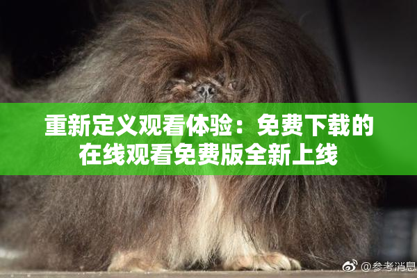 重新定义观看体验：免费下载的在线观看免费版全新上线