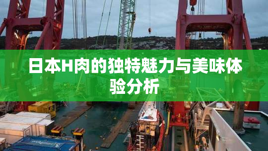 日本H肉的独特魅力与美味体验分析