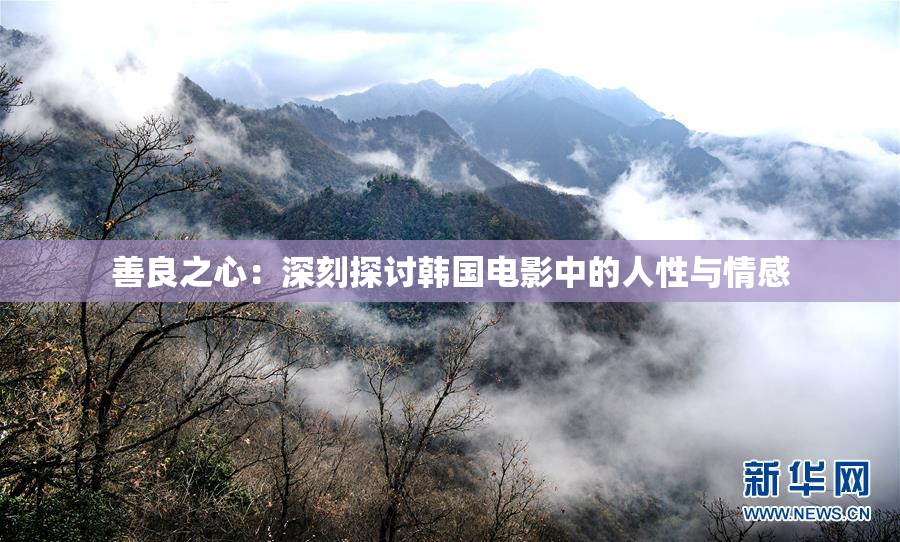 善良之心：深刻探讨韩国电影中的人性与情感