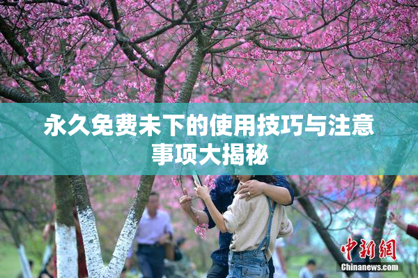 永久免费未下的使用技巧与注意事项大揭秘