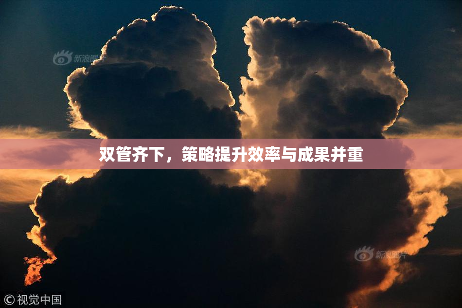 双管齐下，策略提升效率与成果并重