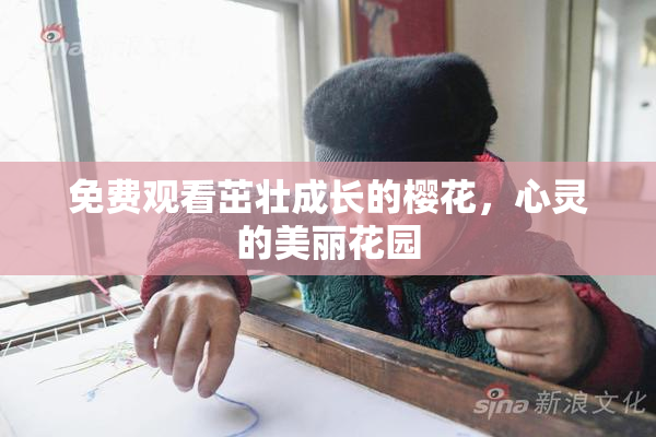 免费观看茁壮成长的樱花，心灵的美丽花园