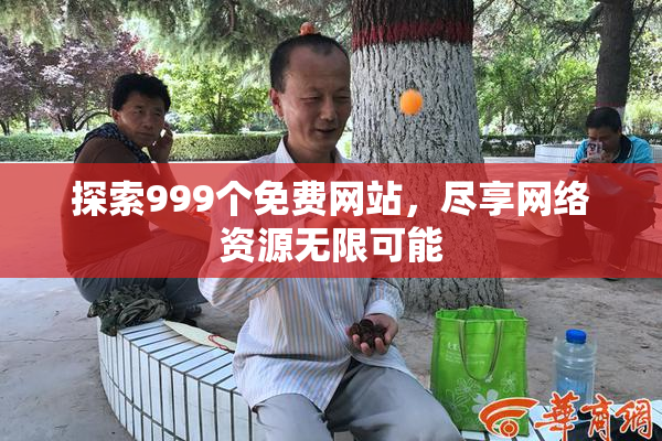 探索999个免费网站，尽享网络资源无限可能