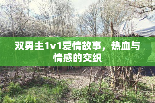 双男主1v1爱情故事，热血与情感的交织