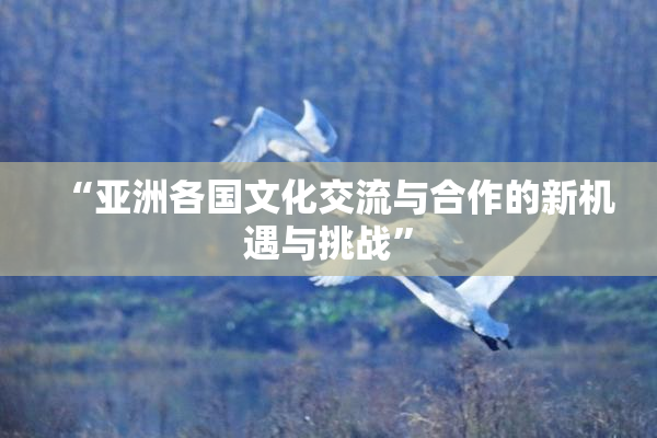“亚洲各国文化交流与合作的新机遇与挑战”