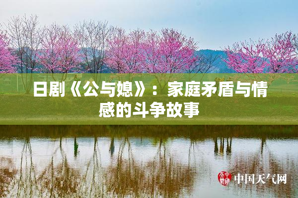 日剧《公与媳》：家庭矛盾与情感的斗争故事