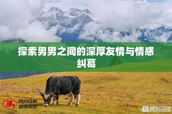 探索男男之间的深厚友情与情感纠葛