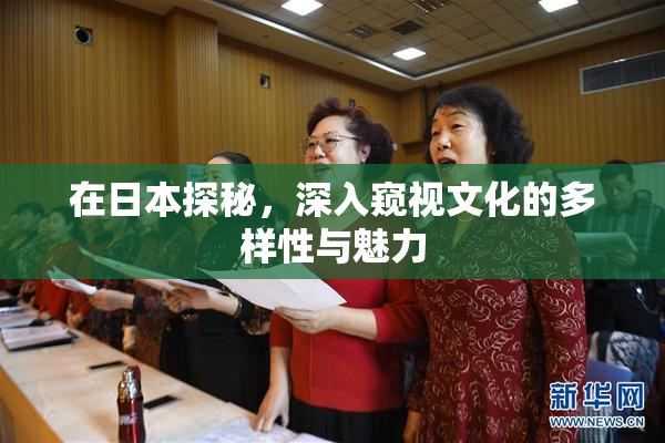 在日本探秘，深入窥视文化的多样性与魅力