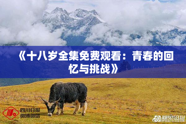 《十八岁全集免费观看：青春的回忆与挑战》