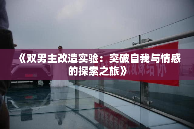 《双男主改造实验：突破自我与情感的探索之旅》