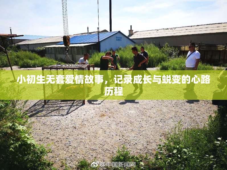小初生无套爱情故事，记录成长与蜕变的心路历程