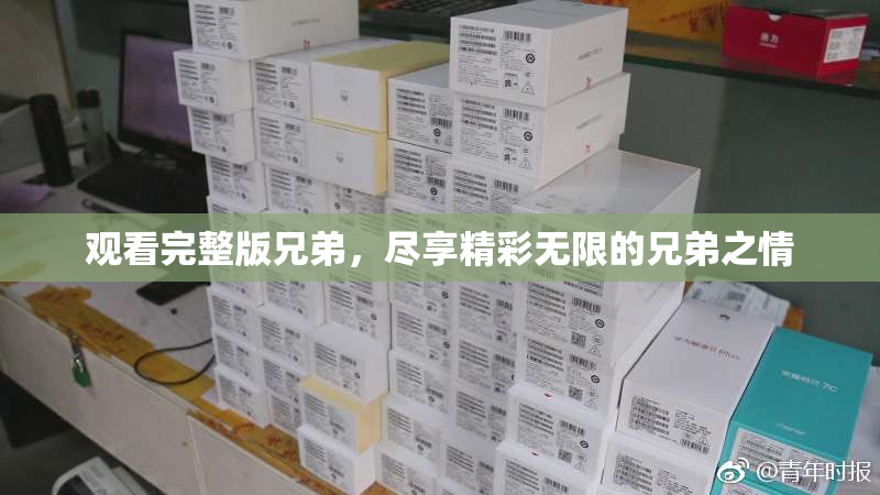 观看完整版兄弟，尽享精彩无限的兄弟之情