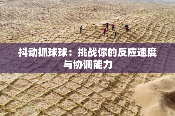 抖动抓球球：挑战你的反应速度与协调能力