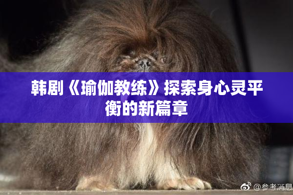 韩剧《瑜伽教练》探索身心灵平衡的新篇章