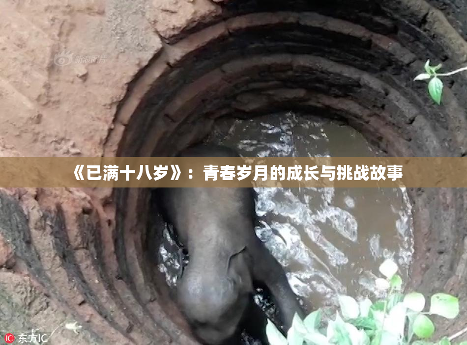 《已满十八岁》：青春岁月的成长与挑战故事
