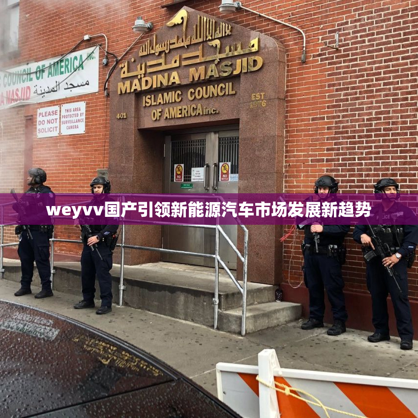 weyvv国产引领新能源汽车市场发展新趋势