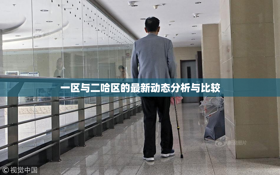 一区与二哈区的最新动态分析与比较