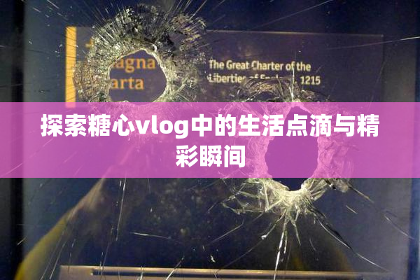 探索糖心vlog中的生活点滴与精彩瞬间