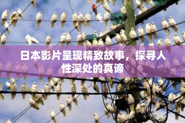 日本影片呈现精致故事，探寻人性深处的真谛