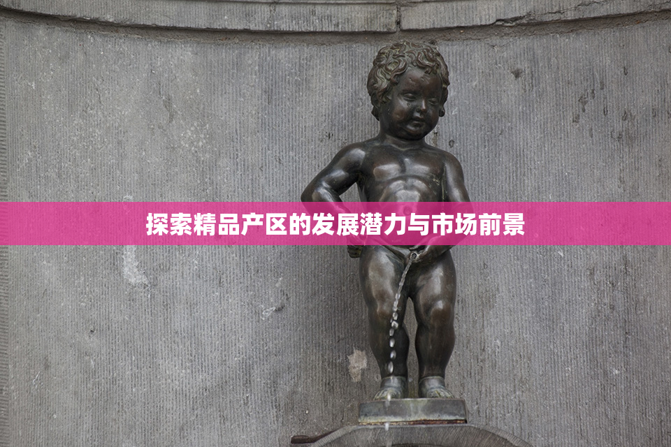 探索精品产区的发展潜力与市场前景