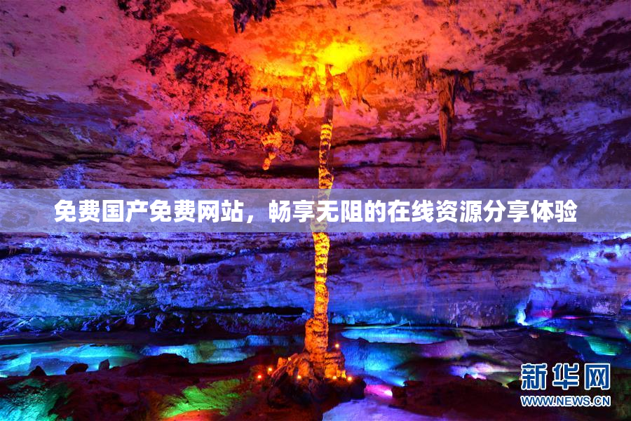 免费国产免费网站，畅享无阻的在线资源分享体验