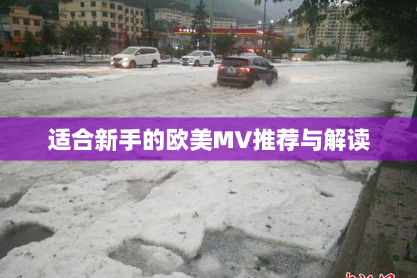 适合新手的欧美MV推荐与解读