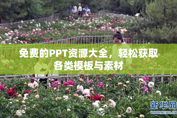 免费的PPT资源大全，轻松获取各类模板与素材