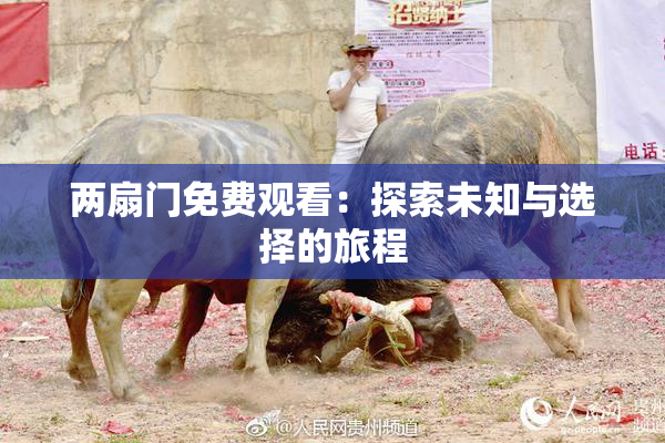 两扇门免费观看：探索未知与选择的旅程
