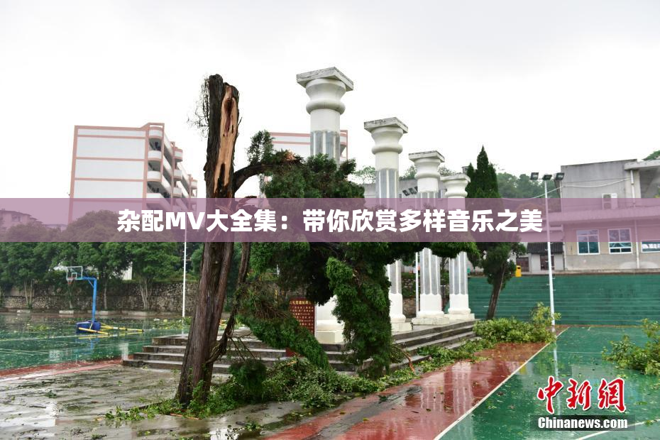 杂配MV大全集：带你欣赏多样音乐之美
