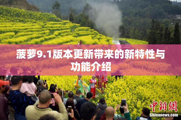 菠萝9.1版本更新带来的新特性与功能介绍