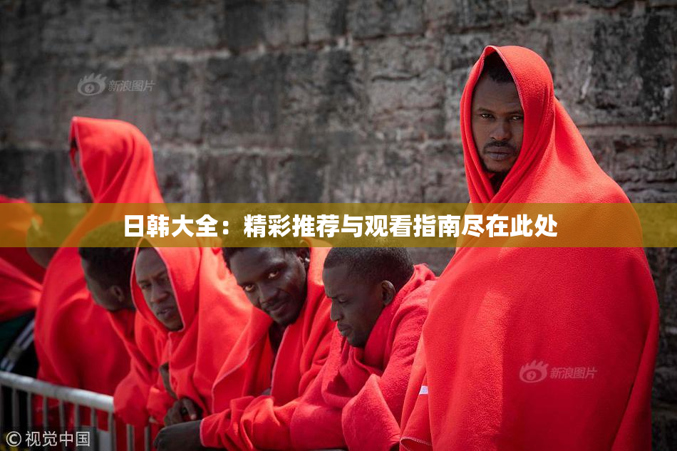日韩大全：精彩推荐与观看指南尽在此处