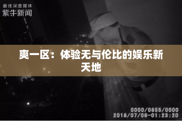 爽一区：体验无与伦比的娱乐新天地