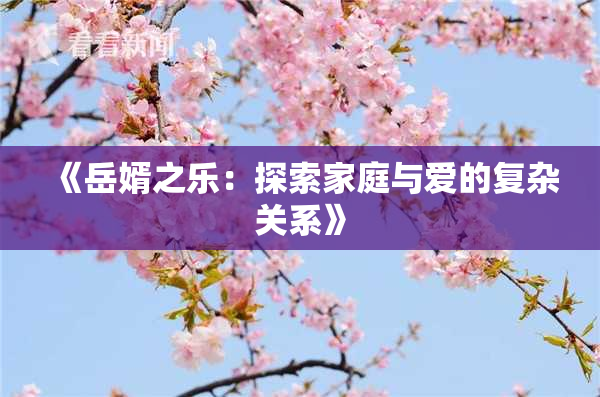 《岳婿之乐：探索家庭与爱的复杂关系》