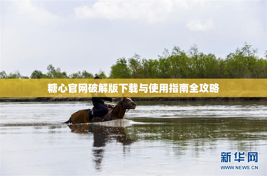 糖心官网破解版下载与使用指南全攻略