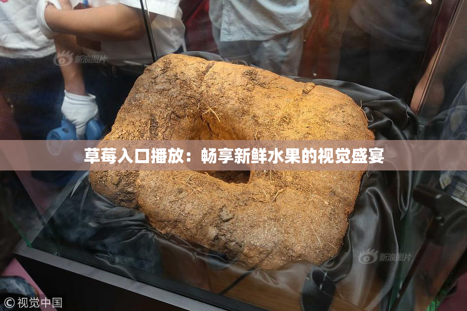 草莓入口播放：畅享新鲜水果的视觉盛宴