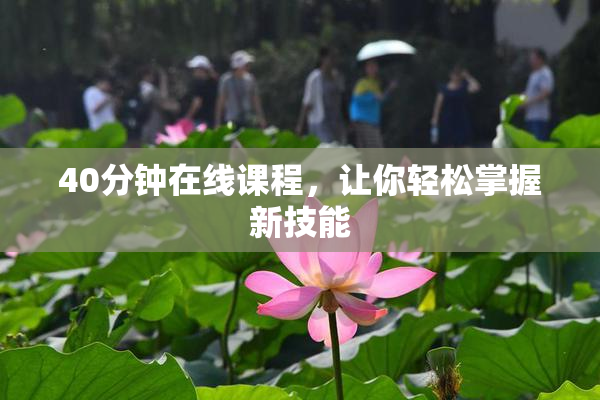 40分钟在线课程，让你轻松掌握新技能