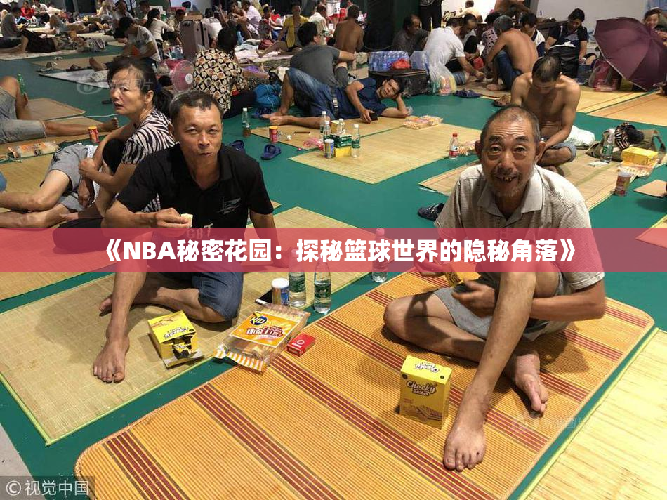 《NBA秘密花园：探秘篮球世界的隐秘角落》