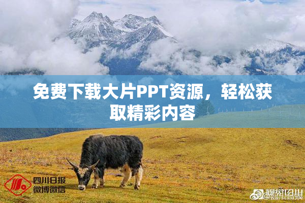 免费下载大片PPT资源，轻松获取精彩内容