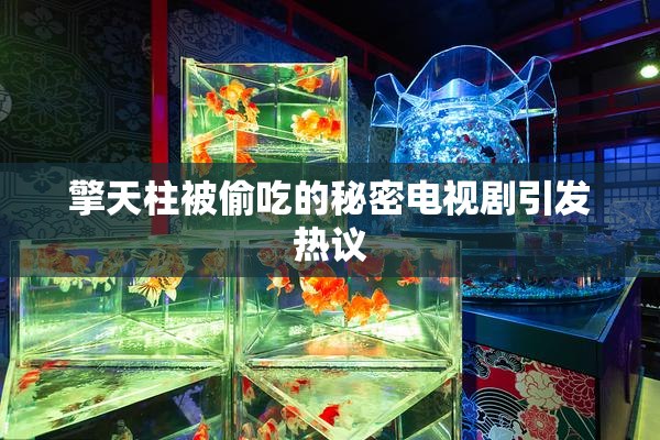 擎天柱被偷吃的秘密电视剧引发热议