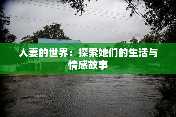 人妻的世界：探索她们的生活与情感故事