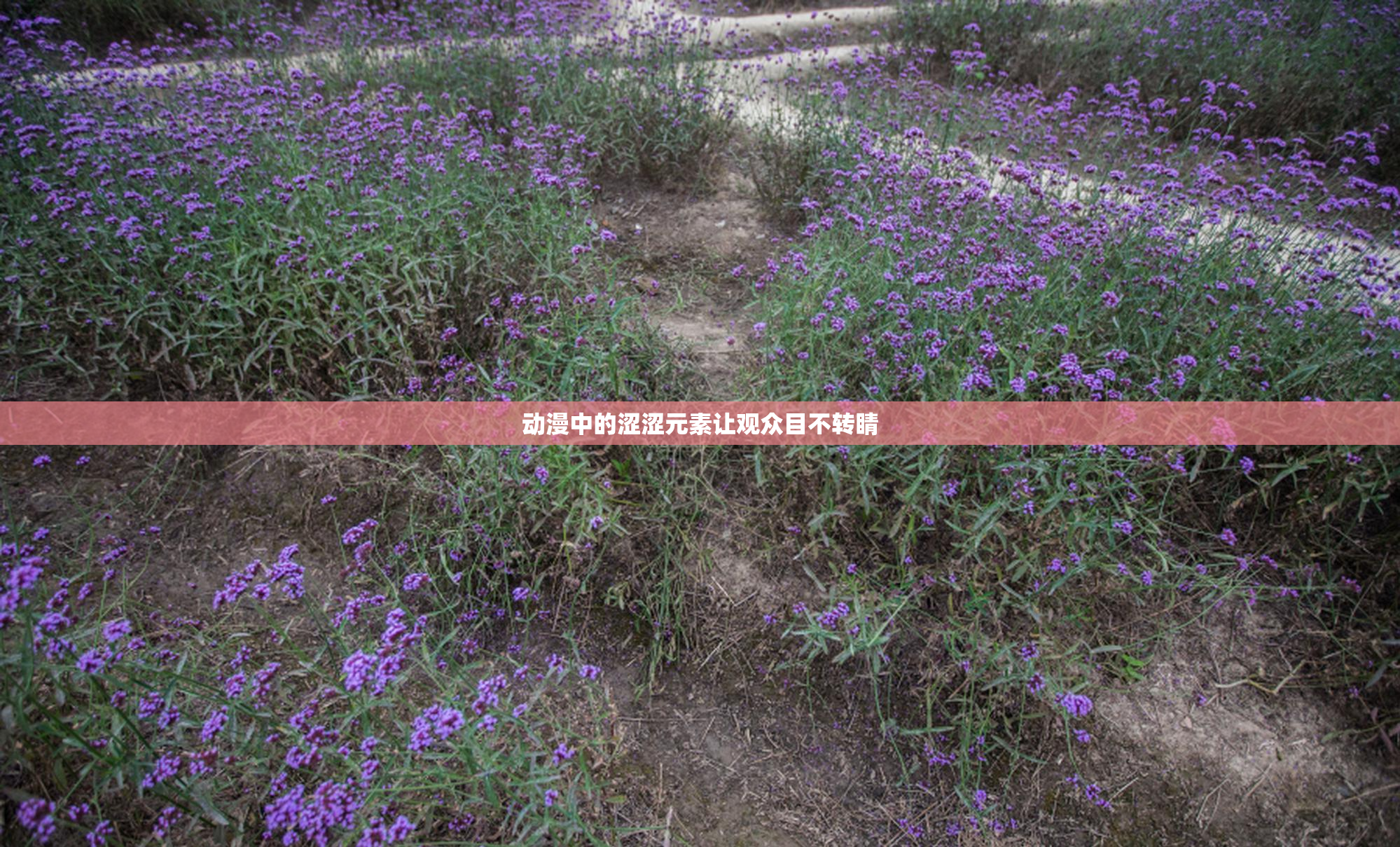 动漫中的涩涩元素让观众目不转睛
