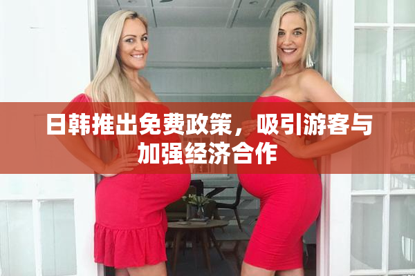 日韩推出免费政策，吸引游客与加强经济合作