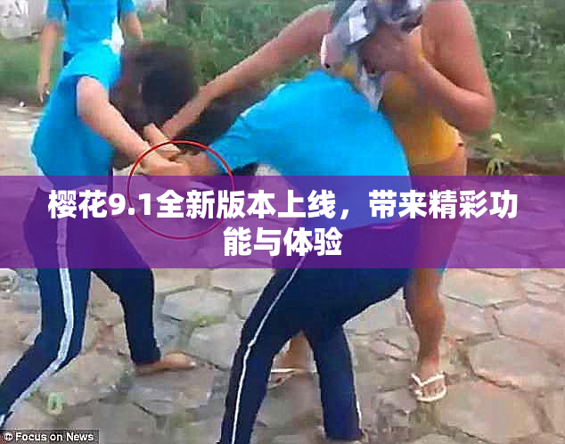 樱花9.1全新版本上线，带来精彩功能与体验