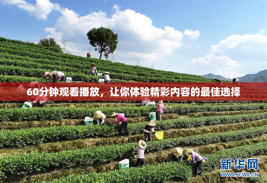 60分钟观看播放，让你体验精彩内容的最佳选择