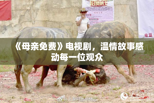《母亲免费》电视剧，温情故事感动每一位观众