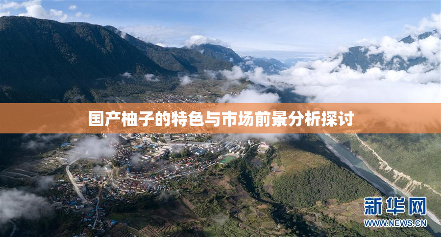 国产柚子的特色与市场前景分析探讨