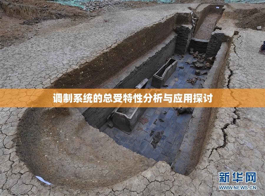调制系统的总受特性分析与应用探讨